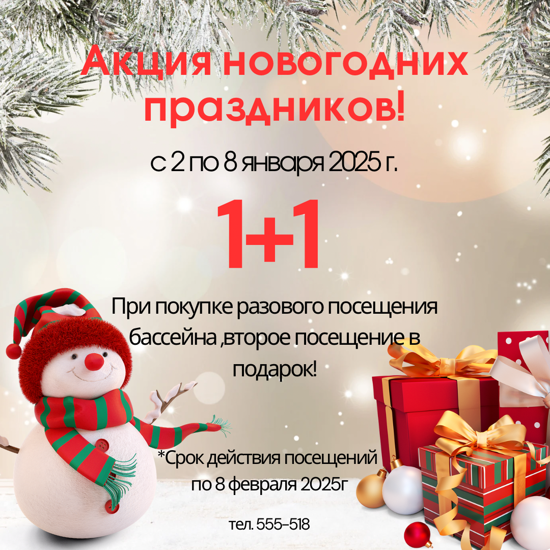 Акция новогодних праздников!